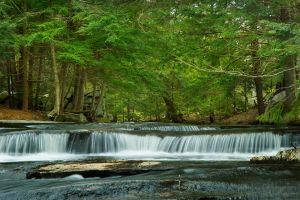 17  AQ495-Bicknell-Brook.jpg